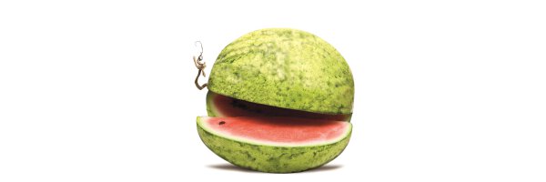 Veredelte Melonen