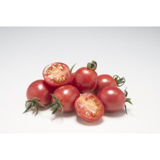 Pinke Kirschtomate Sunpeach *Jungpflanze Limited 1