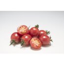 Pinke Kirschtomate Sunpeach *Jungpflanze Limited 1