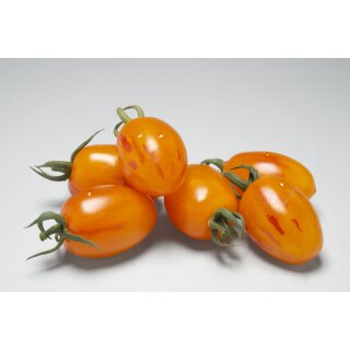 Längliche gelb rot gestreifte Kirschtomate Harlekin *Jungpflanze Limited 1